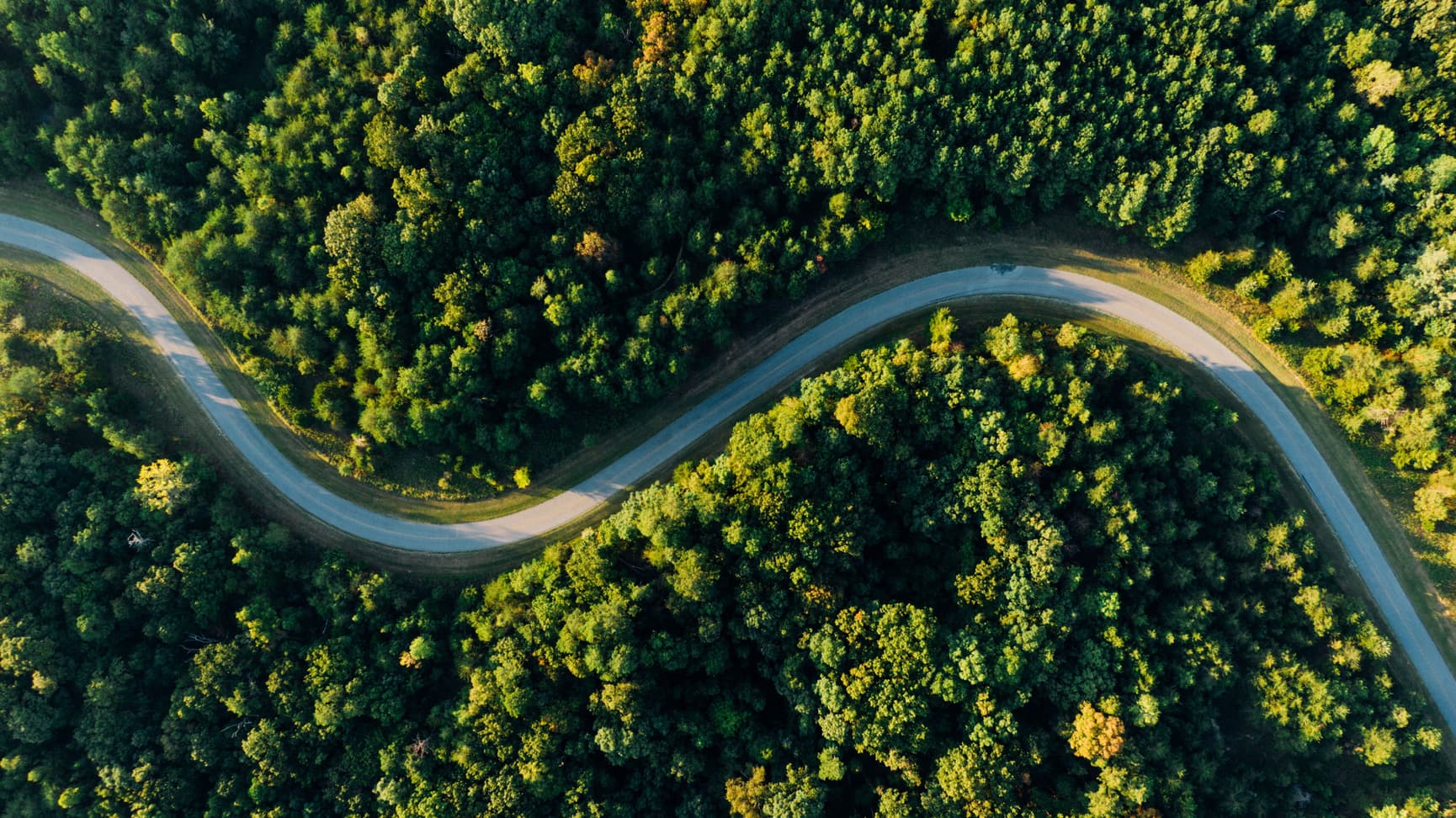 FAQ road through forest