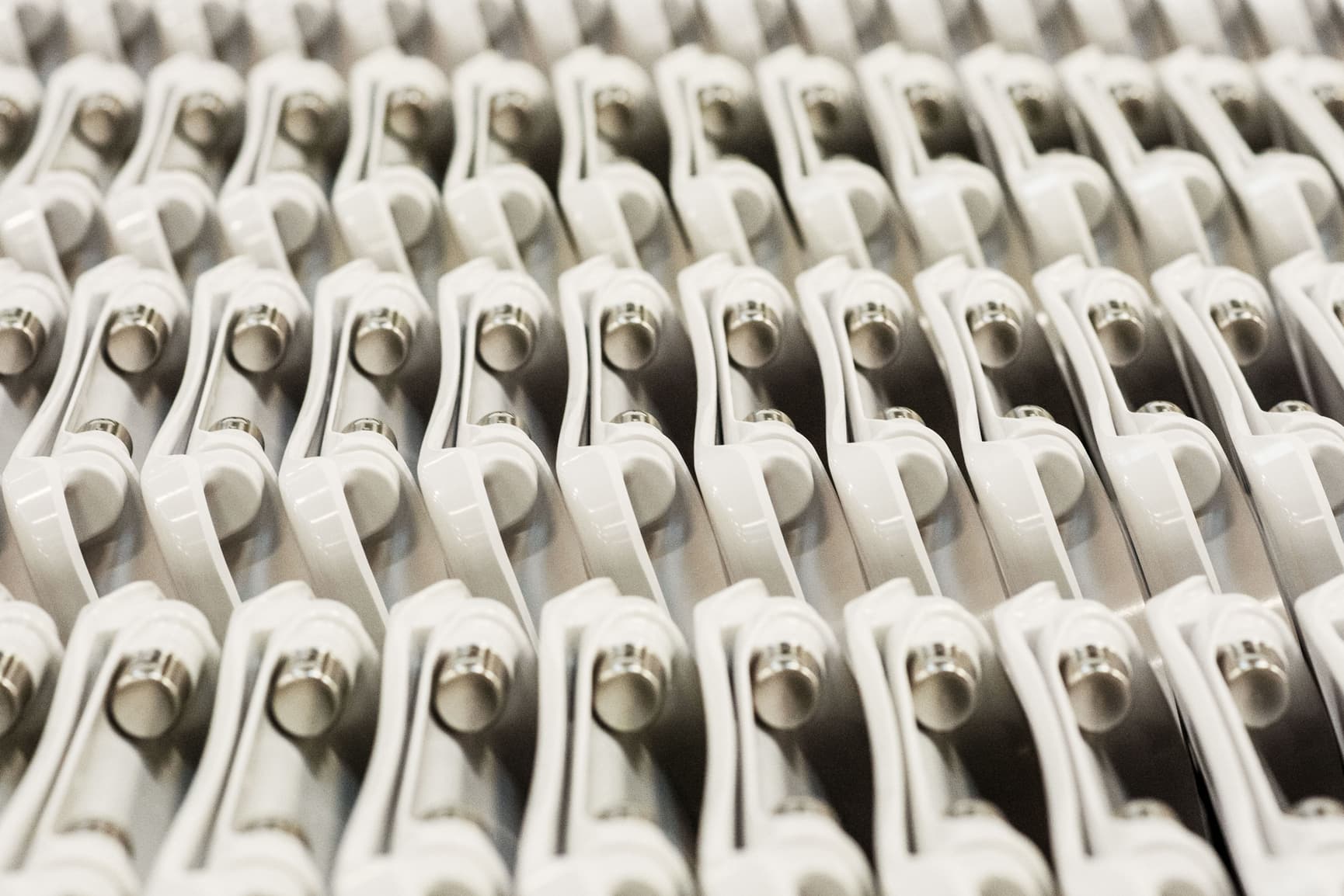 Rows of toilet seats