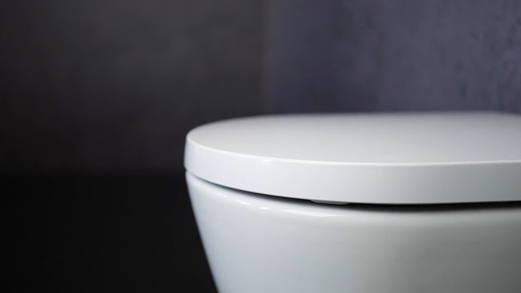 White Pressalit Comfort D2 toilet seat on toilet bowl